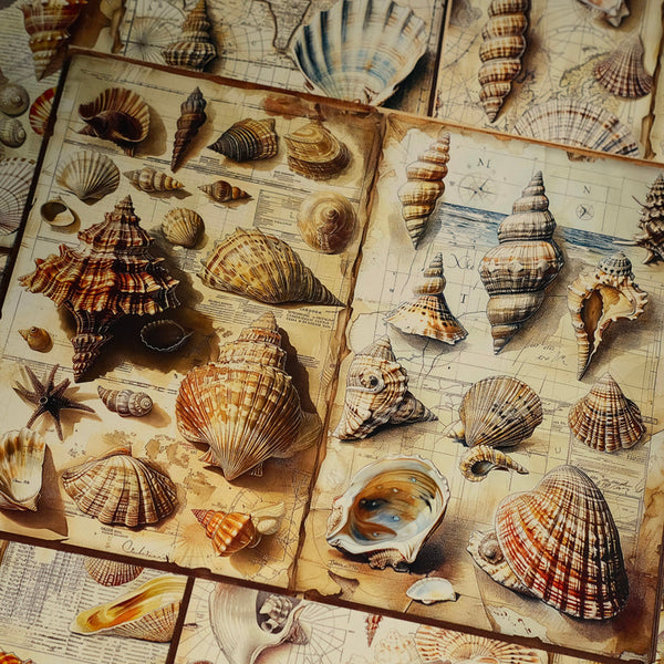 10PCS Nautical shells background paper