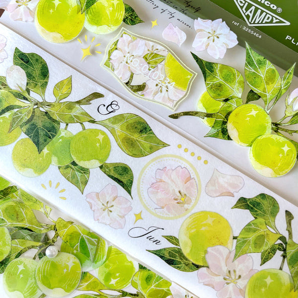 5cm*120cm Green apple Washi/PET Tape