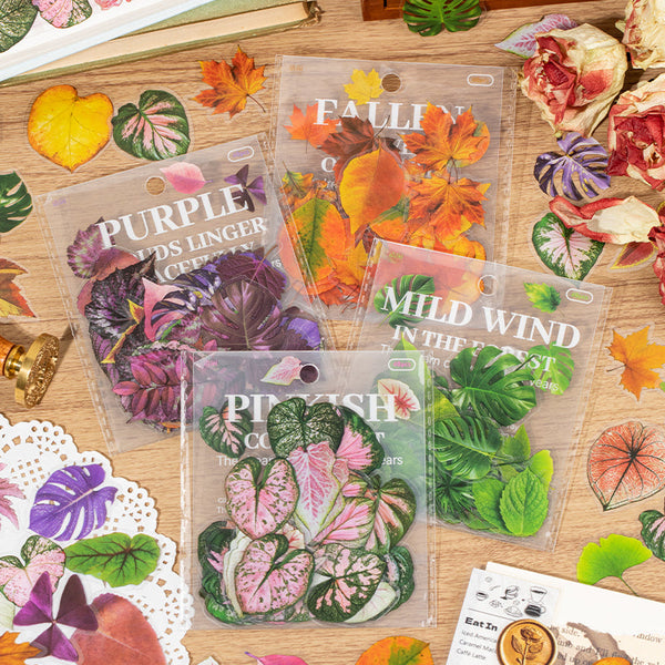 40PCS Autumn of Plants series sticker