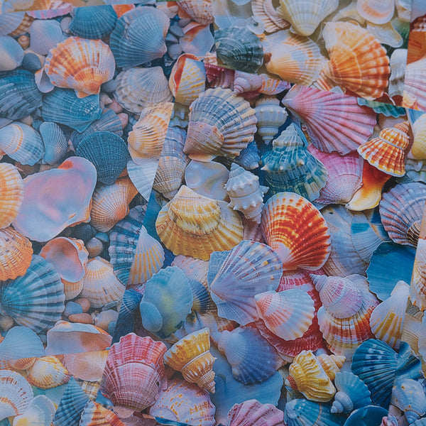 20PCS Marine shell background paper