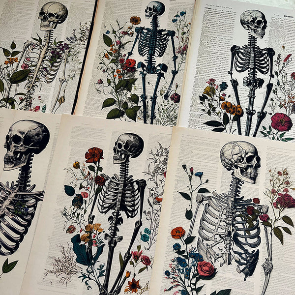 16PCS Dark anatomy background paper