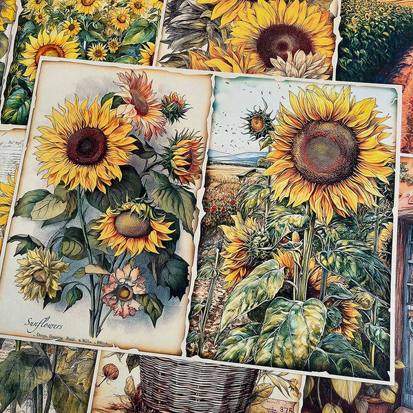 10 STÜCKE Garten sonnenblumen hintergrund papier