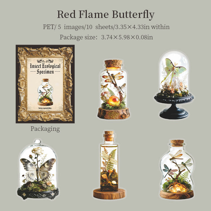 Insect Ecological Specimen Series sticker – Journaldream