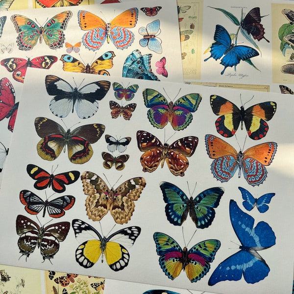 4 piezas de papel de fondo con diseño de planta de mariposa vintage