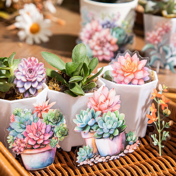 20PCS Succulent plants series sticker