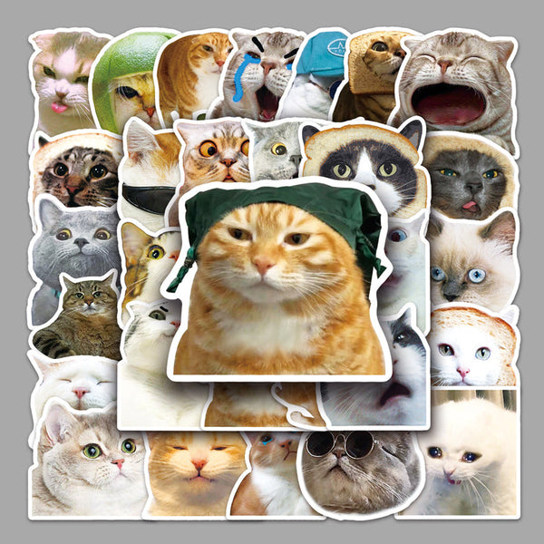 50PCS Cat emoticons sticker