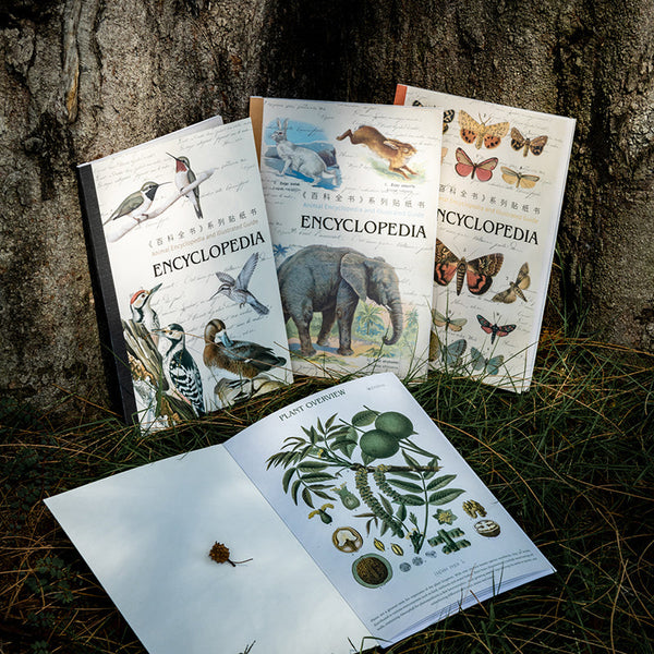 20PCS Encyclopedia Series sticker book