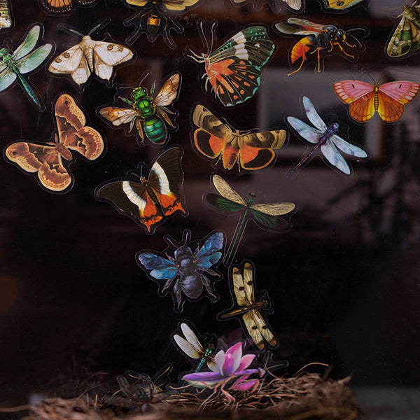 25PCS Insect Specimen Guide Series sticker