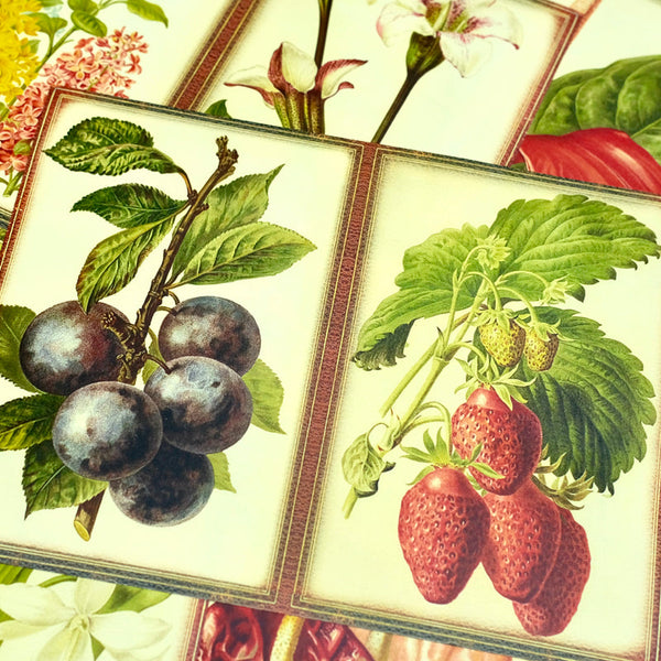 12PCS Rural Farm background paper