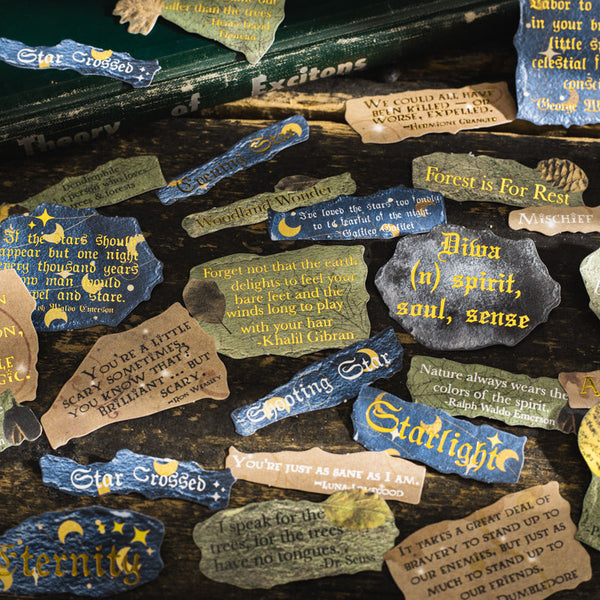 30PCS Retro dictionary series sticker