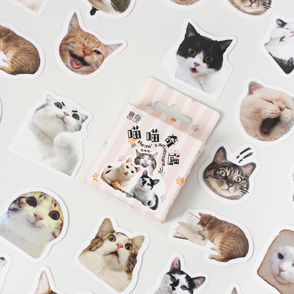 46 pegatinas de la serie Meow Adventure 