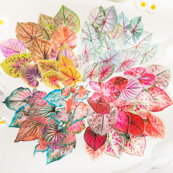 30PCS Color leaf season series sticker