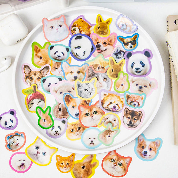 40PCS Animal Keepers Series sticker