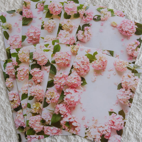 20PCS Pink hydrangea background paper
