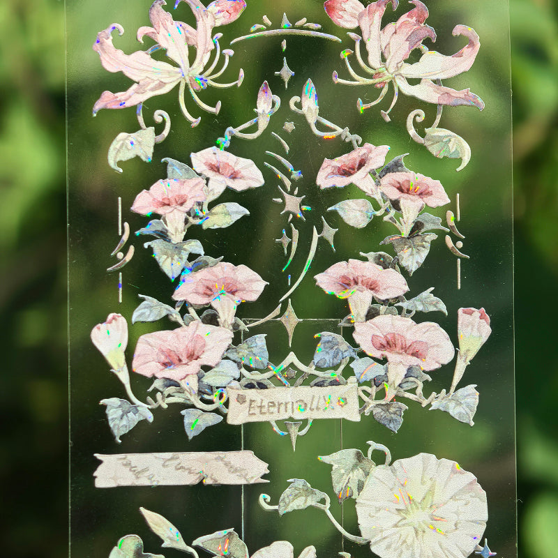 450 Morning Shell 7.5cm*125cm Old stories of the morning Shell Light PET Tape – Journaldream